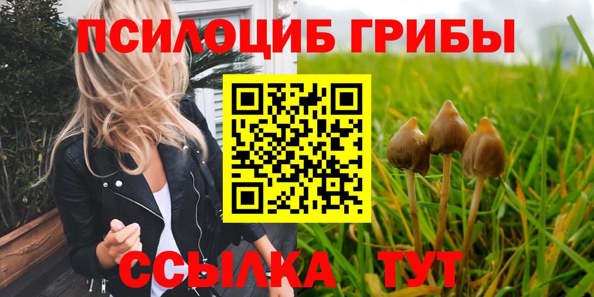 Можга  Псилоцибиновые грибы мухоморы  Псилоцибиновые грибы Psilocybine cubensis  Вход с VPN 
